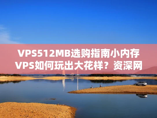 VPS512MB选购指南小内存VPS如何玩出大花样？资深网安工程师教你避坑