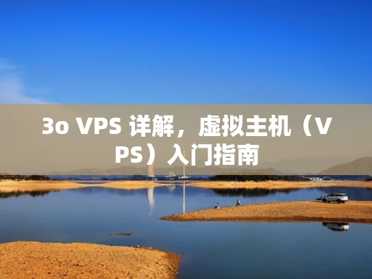3o VPS 详解，虚拟主机（VPS）入门指南