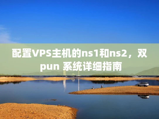 配置VPS主机的ns1和ns2，双 pun 系统详细指南