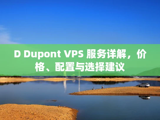 D Dupont VPS 服务详解，价格、配置与选择建议