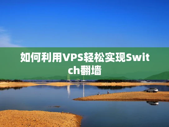 如何利用VPS轻松实现Switch翻墙