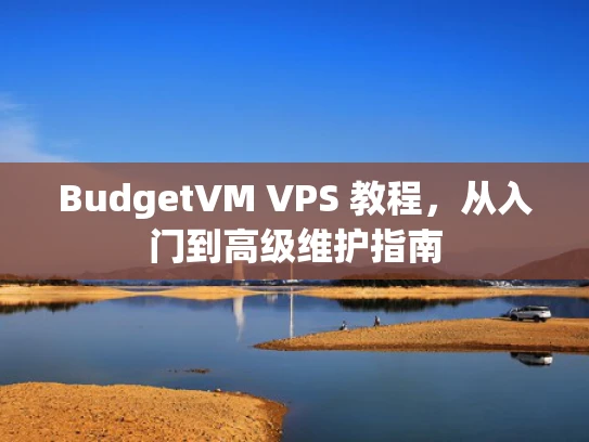 BudgetVM VPS 教程，从入门到高级维护指南