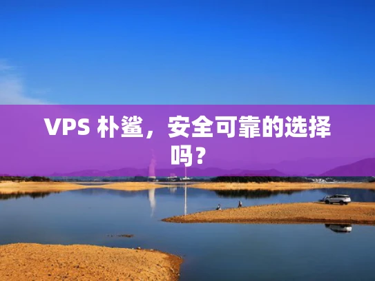 VPS 朴鲨，安全可靠的选择吗？