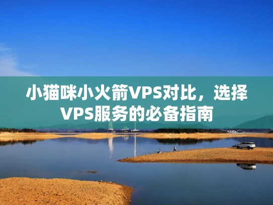小猫咪小火箭VPS对比，选择VPS服务的必备指南
