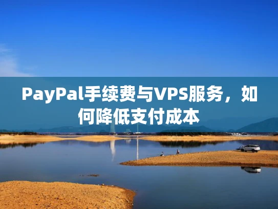 PayPal手续费与VPS服务，如何降低支付成本