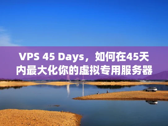 VPS 45 Days，如何在45天内最大化你的虚拟专用服务器体验