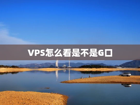 VPS怎么看是不是G口