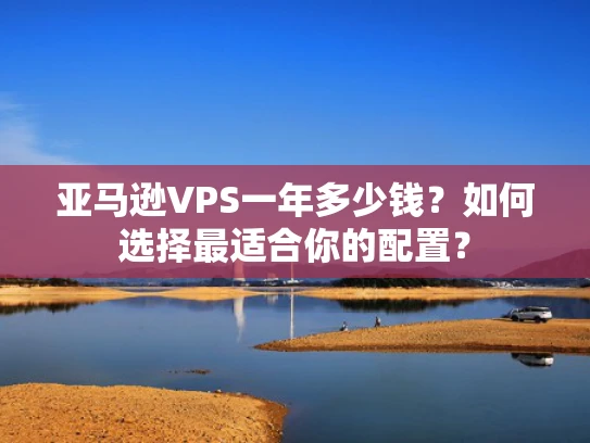 亚马逊VPS一年多少钱？如何选择最适合你的配置？