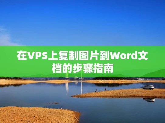 在VPS上复制图片到Word文档的步骤指南