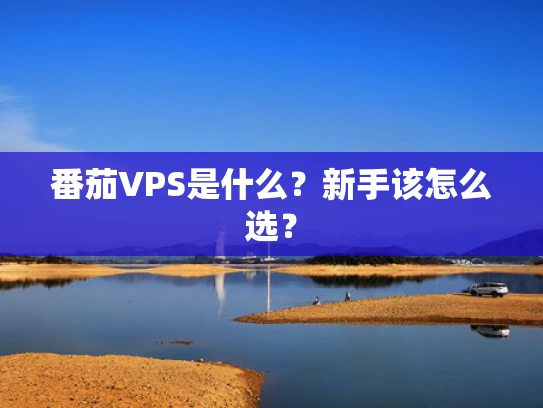 番茄VPS是什么？新手该怎么选？