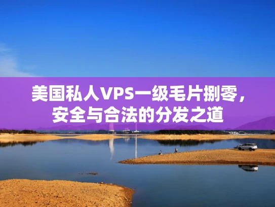 美国私人VPS一级毛片捌零，安全与合法的分发之道