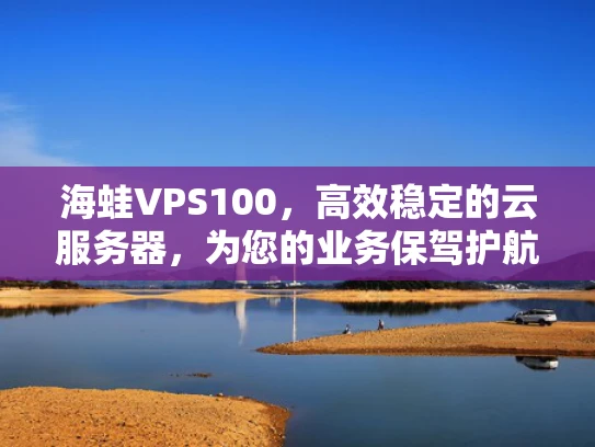 海蛙VPS100，高效稳定的云服务器，为您的业务保驾护航