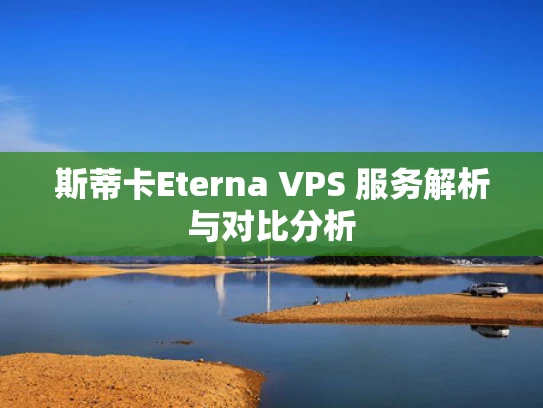 斯蒂卡Eterna VPS 服务解析与对比分析