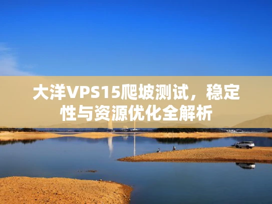 大洋VPS15爬坡测试，稳定性与资源优化全解析