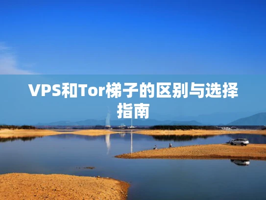 VPS和Tor梯子的区别与选择指南