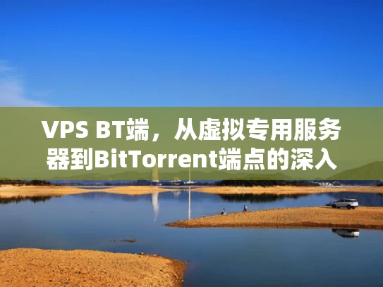 VPS BT端，从虚拟专用服务器到BitTorrent端点的深入解析