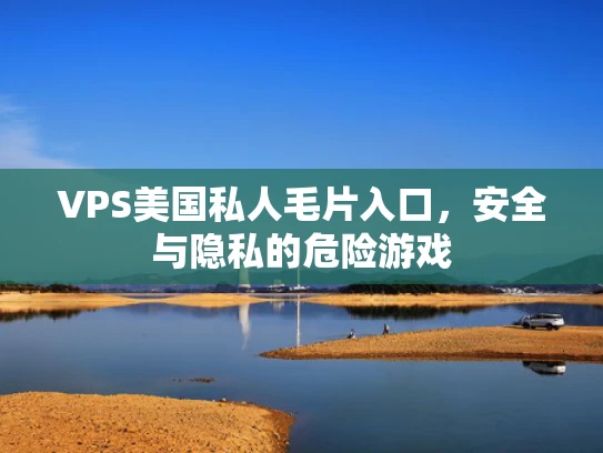 VPS美国私人毛片入口，安全与隐私的危险游戏
