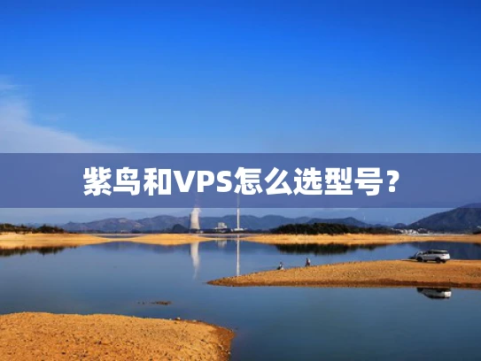 紫鸟和VPS怎么选型号？