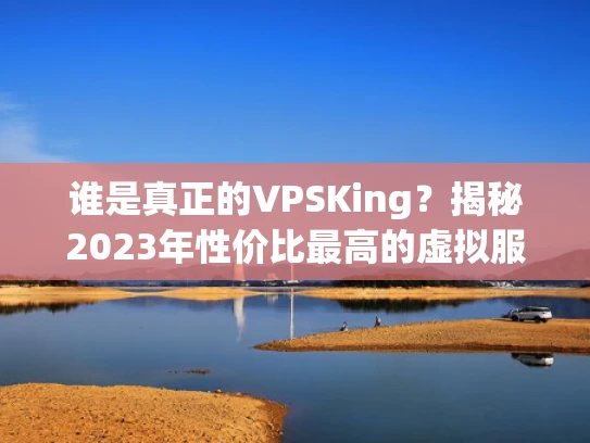 谁是真正的VPSKing？揭秘2023年性价比最高的虚拟服务器