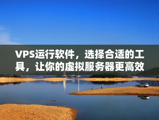 VPS运行软件，选择合适的工具，让你的虚拟服务器更高效