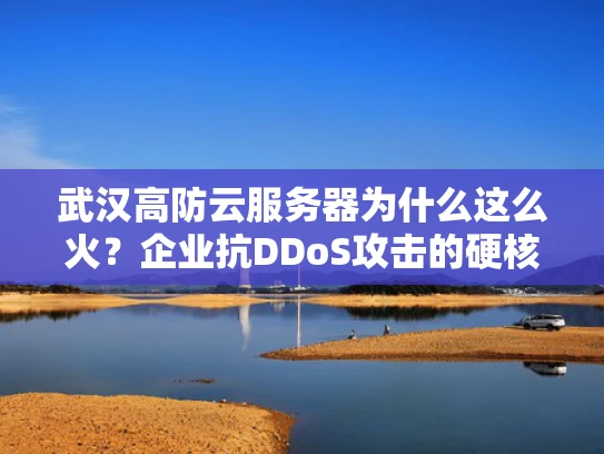 武汉高防云服务器为什么这么火？企业抗DDoS攻击的硬核选择