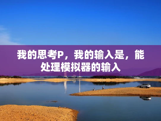 我的思考P，我的输入是，能处理模拟器的输入