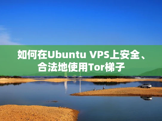 如何在Ubuntu VPS上安全、合法地使用Tor梯子