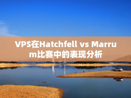 VPS在Hatchfell vs Marrum比赛中的表现分析