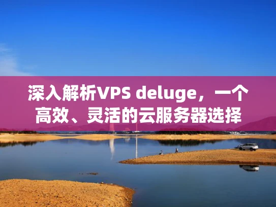 深入解析VPS deluge，一个高效、灵活的云服务器选择