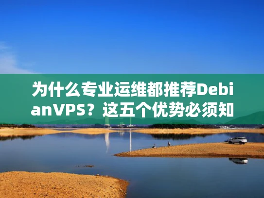 为什么专业运维都推荐DebianVPS？这五个优势必须知道