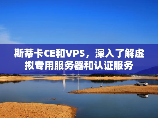 斯蒂卡CE和VPS，深入了解虚拟专用服务器和认证服务
