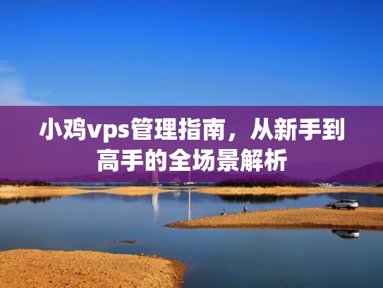 小鸡vps管理指南，从新手到高手的全场景解析