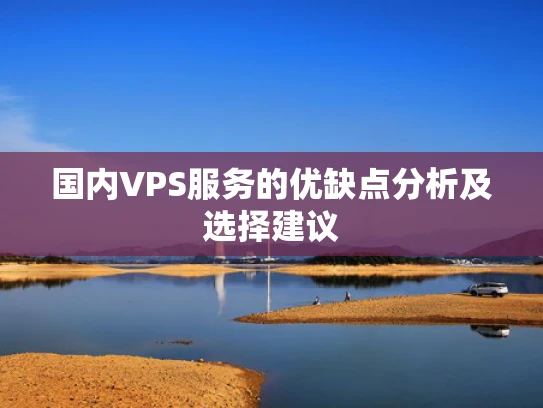 国内VPS服务的优缺点分析及选择建议