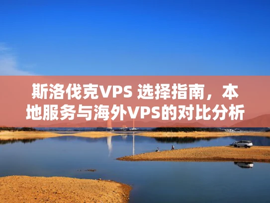 斯洛伐克VPS 选择指南，本地服务与海外VPS的对比分析