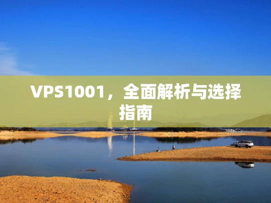VPS1001，全面解析与选择指南