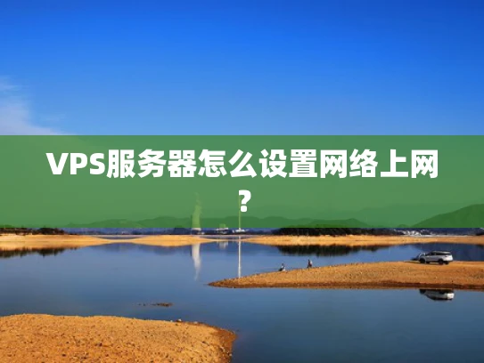 VPS服务器怎么设置网络上网？