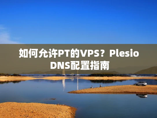 如何允许PT的VPS？Plesio DNS配置指南