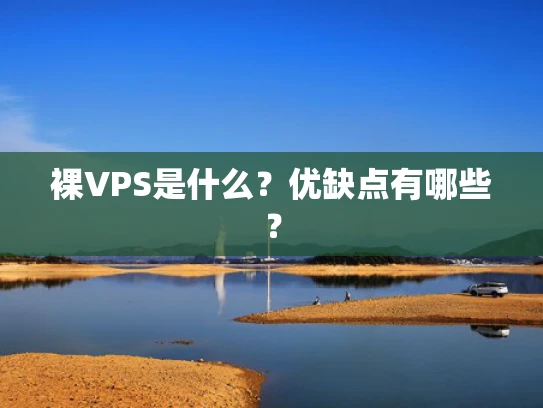 裸VPS是什么？优缺点有哪些？