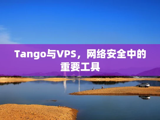 Tango与VPS，网络安全中的重要工具