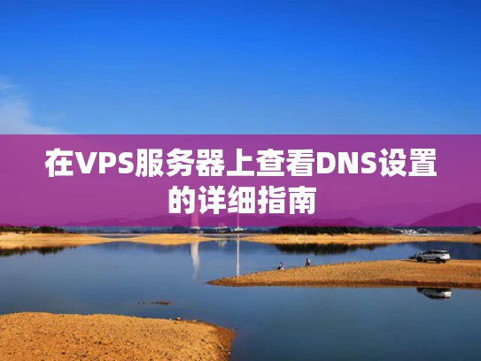 在VPS服务器上查看DNS设置的详细指南
