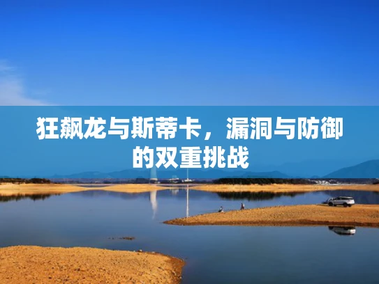 狂飙龙与斯蒂卡，漏洞与防御的双重挑战