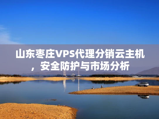 山东枣庄VPS代理分销云主机，安全防护与市场分析