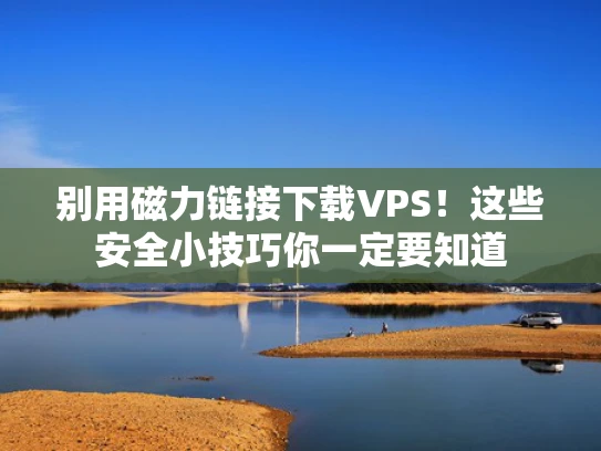 别用磁力链接下载VPS！这些安全小技巧你一定要知道