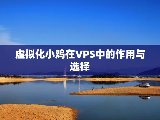 虚拟化小鸡在VPS中的作用与选择
