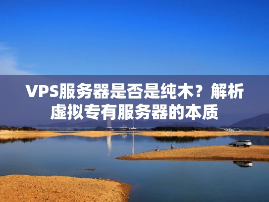 VPS服务器是否是纯木？解析虚拟专有服务器的本质