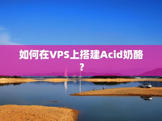 如何在VPS上搭建Acid奶酪？