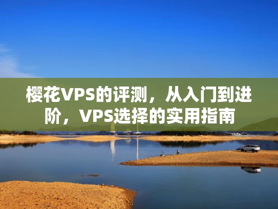 樱花VPS的评测，从入门到进阶，VPS选择的实用指南