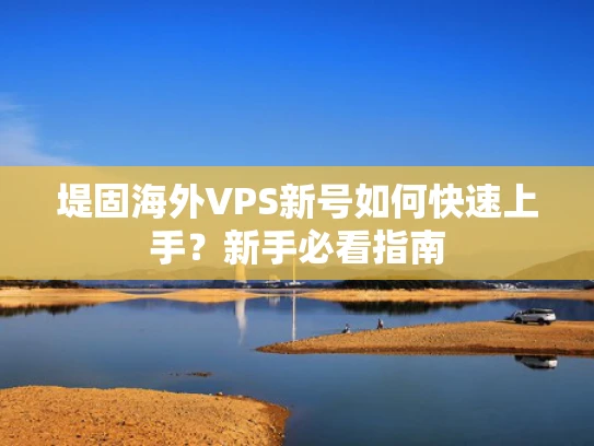堤固海外VPS新号如何快速上手？新手必看指南