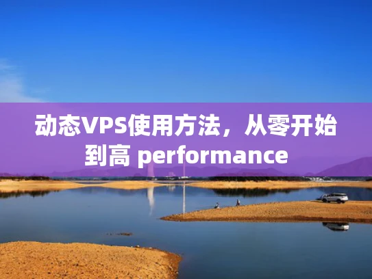动态VPS使用方法，从零开始到高 performance