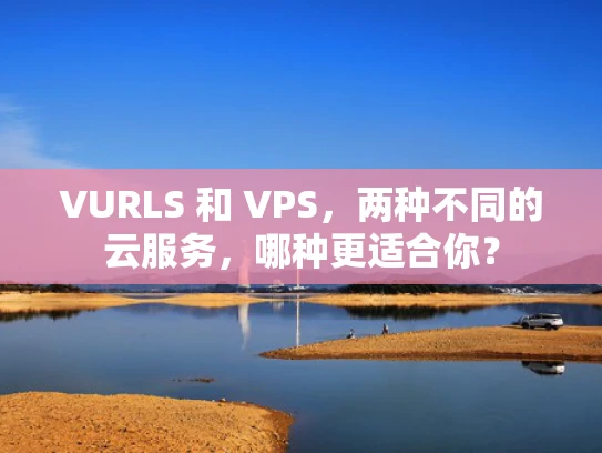 VURLS 和 VPS，两种不同的云服务，哪种更适合你？